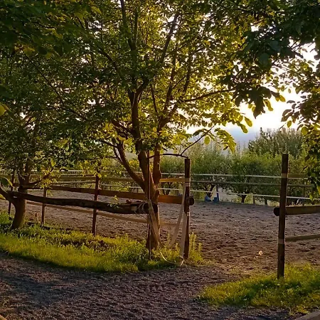 Gospodarstwo wiejskie Alleluja & Glamping