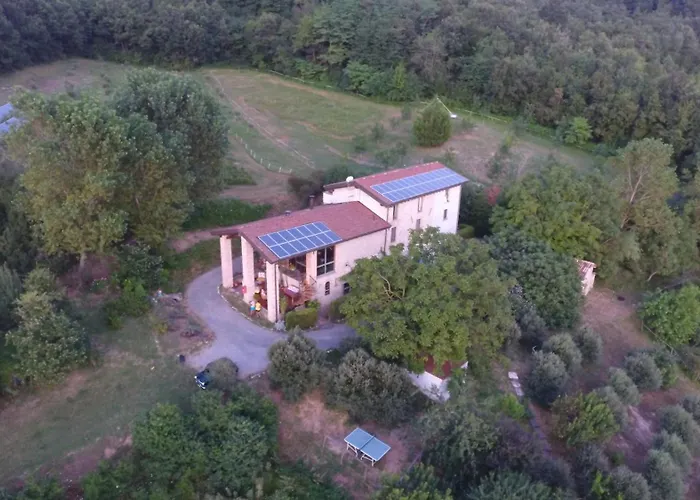 Alleluja & Glamping