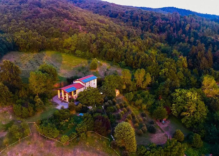 Alleluja & Glamping